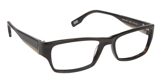 EVATIK \ E-9047 \ TORTOISE \ 501 \ 53-17 \ 140 \ OPTICAL